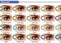Image result for Different Brands of Contact Lenses
