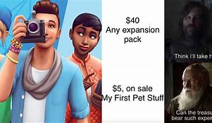 Image result for Sims 4 Meme CC