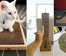 Image result for Cardboard Cat Scratchers