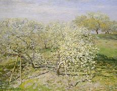 Image result for Fruit Trees in Spring