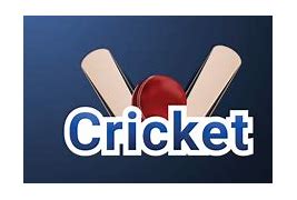 Image result for YouTube Cricket