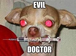 Image result for Funny Evil-Dog Memes