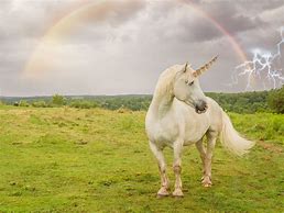 Image result for Pegasus Unicorn Are Real