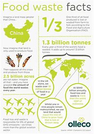 Image result for Food Waste Infographic