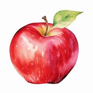 Image result for Apple Flower PNG