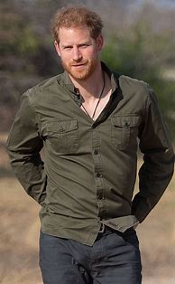Image result for Prince Harry South Africa