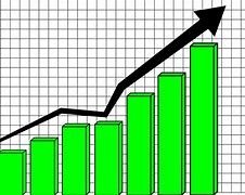 Image result for Net Income Graph