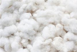 Image result for Fluffy Cotton Texture