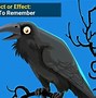 Image result for Affect Meaning