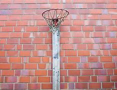 Image result for Basketball Hoop Pole
