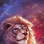 Image result for Galaxy Lion Cute