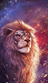 Image result for Beautiful Galaxy Wallpaper Lion