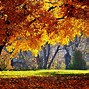 Image result for iPad Mini Wallpaper Outdoor