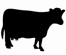 Image result for Forward-Facing Cow Clip Art Silhouette