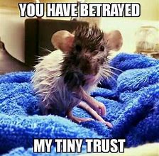 Image result for Plague Rat Meme