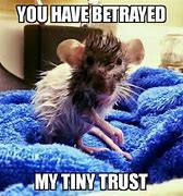 Image result for Funny Rat Memes