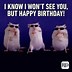 Image result for Dunny Happy Birthday Meme