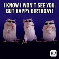 Image result for Happy Birthday Funny Meme