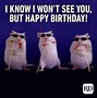 Image result for Put in Birthday Meme