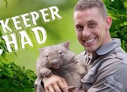 Image result for Zookeeper Stephanie