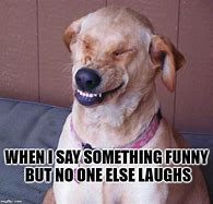 Image result for Point and Laugh Meme