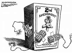 Image result for Second Amendment Political Cartoon