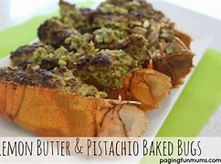 Image result for Pistachio Bug