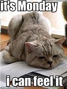 Image result for Cute Cat Monday Meme