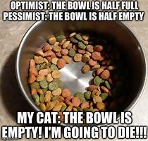 Image result for Fat Cat Food Bowl Meme