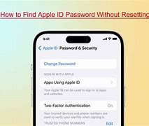 Image result for How to See Your Apple ID Password