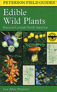 Image result for Wild Edible Plants Field Guide
