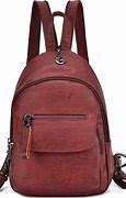 Image result for Red Leather Backpack Purse