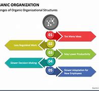 Image result for Organic Org Structure