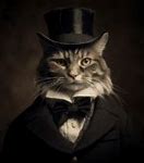 Image result for Fancy Cat Meme