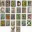 Image result for Alphabet Letters R in Nature