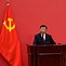 Image result for Xi Jinping Examining