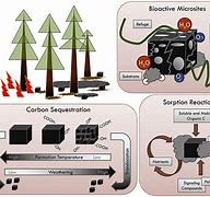 Image result for Carbon Robotics Research Papers