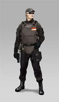 Image result for Futuristic Security Guard