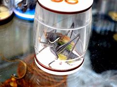 Image result for Cricket Machine Water Droplet