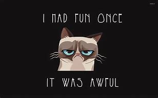 Image result for Grumpy Cat Meme Cartoon