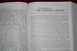 Image result for NIV the Books of the Bible 4 Set
