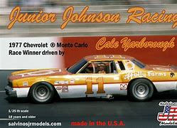 Image result for Cale Yarborough Holly Farms Race Car