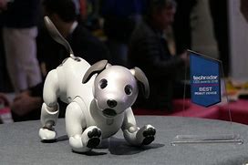 Image result for Sony Aibo Robot Dog Baby