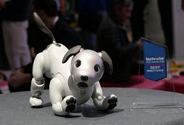 Image result for Aibo 300