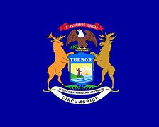 Image result for Small State of Michigan Symbol