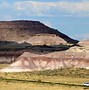 Image result for Petrified Forest Park