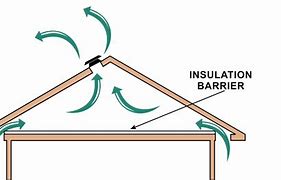 Image result for Attic Mold