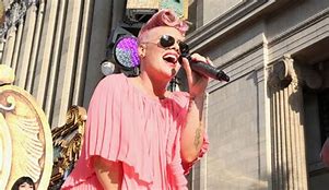 Image result for Pink New Album