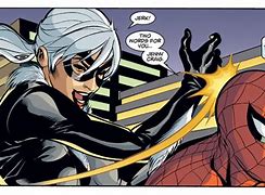 Image result for Spider and Black Cat