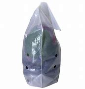 Image result for Biodegradable Fruit Bag with Handle
